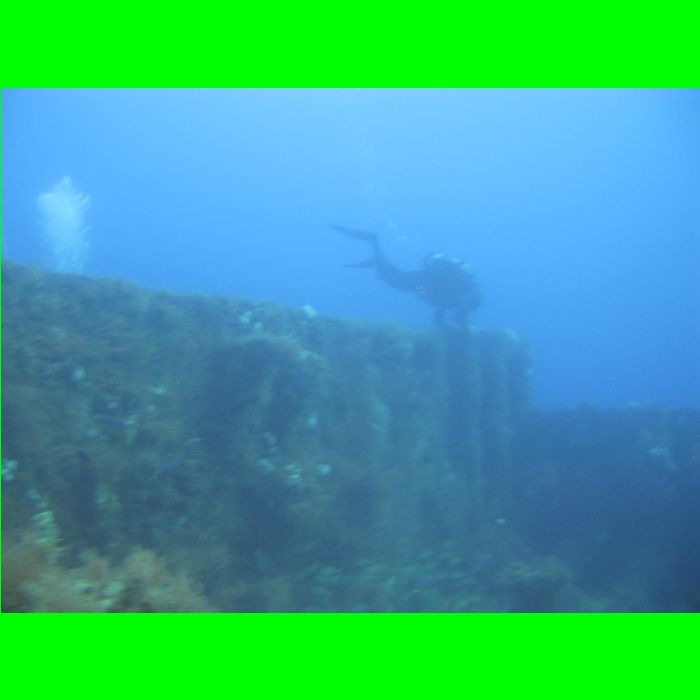 Dive WP Wrecks 25-Oct-09_404.JPG